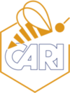 le cari